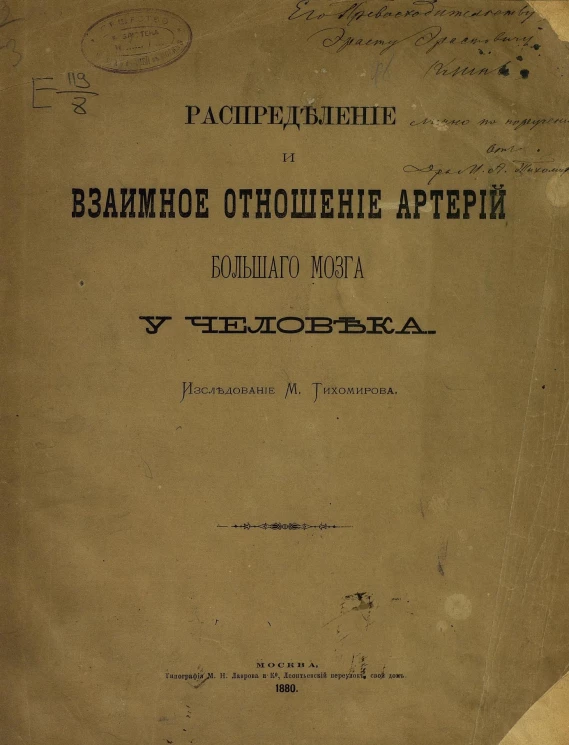 Распределение и взаимное отношение артерий большого мозга у человека