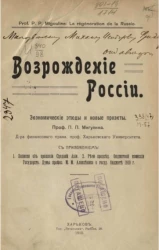 Возрождение России. Экономические этюды и новые проекты