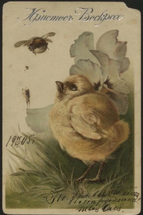 Христос Воскресе. Открытое письмо. Вариант 33