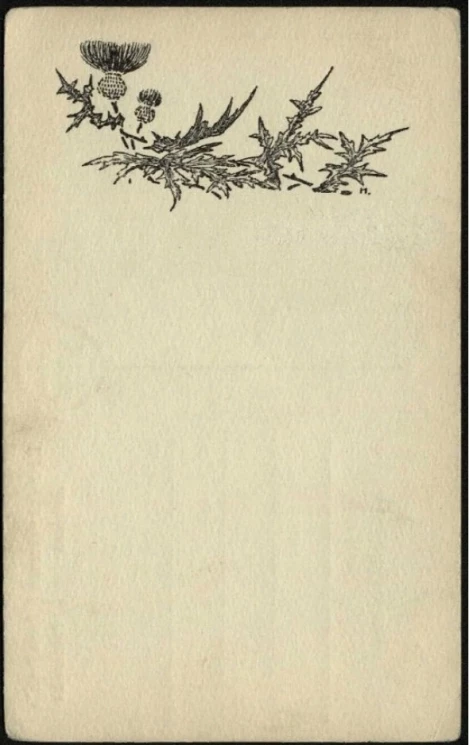 Чертополох. Вариант 1. Почтовая карточка