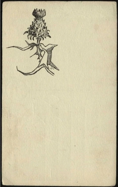 Чертополох. Вариант 2. Почтовая карточка