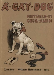 A gay dog. The story of a foolish year