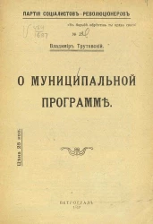 О муниципальной программе