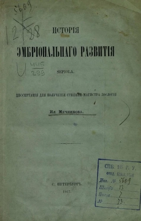 История эмбрионального развития Sepiola