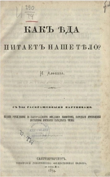 Как еда питает наше тело?
