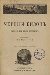 Черный бизон. Рассказ из жизни индейцев