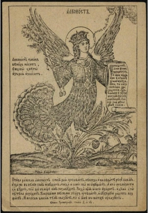 Алконост. Вариант 1. Открытое письмо