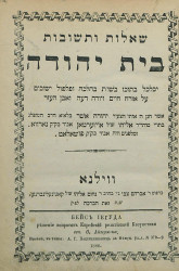 Бейс Иегуда, решение вопросов Еврейской религиозной Казуистики, сочинение О. Айзермана
