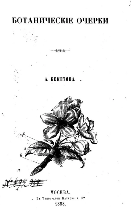 Ботанические очерки