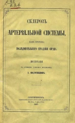 Склероз артериальной системы как причина последовательного страдания сердца