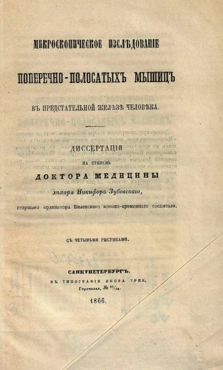 Микроскопическое исследование поперечно-полосатых мышц в предстательной железе человека 
