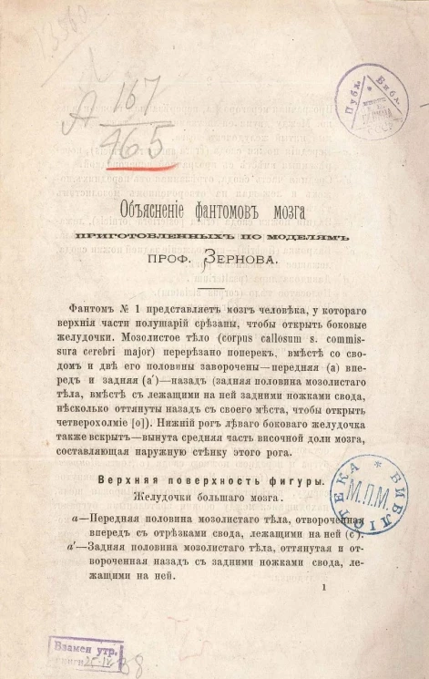 Объяснение фантомов мозга, приготовленных по моделям профессора Зернова