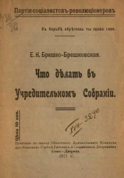 Партия социалистов-революционеров. Что делать в Учредительном собрании