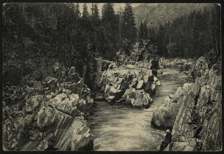 Алтай. Река Кумир, приток Чарыша. Открытое письмо