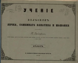 Учение о болезнях яичка, семенного канатика и мошонки. Атлас