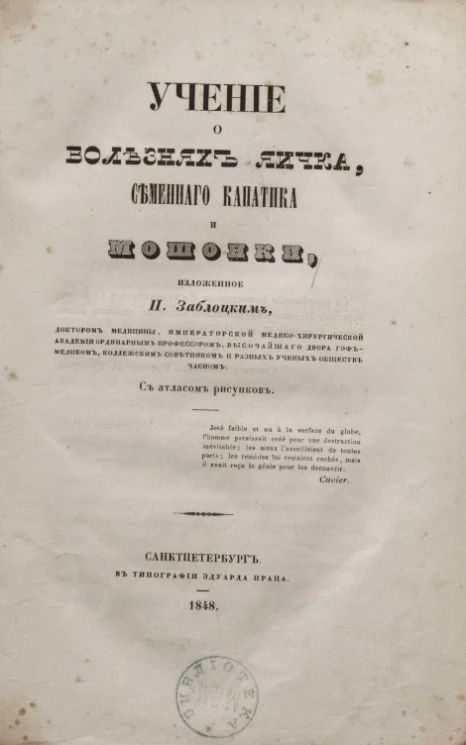 Учение о болезнях яичка, семенного канатика и мошонки