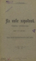 На ниве народной (Сельская учительница). Драма в 4-х действиях