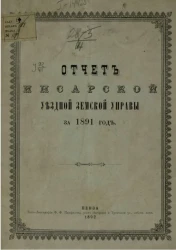 Отчет Инсарской уездной земской управы за 1891 год