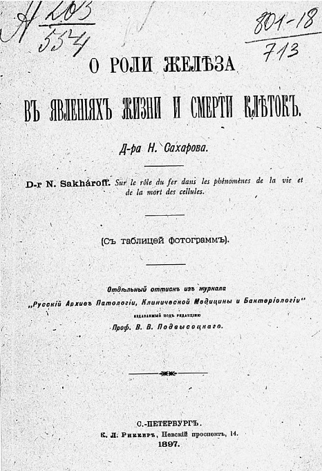 О роли железа в явлениях жизни и смерти клеток