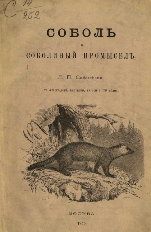 Соболь и соболиный промысел