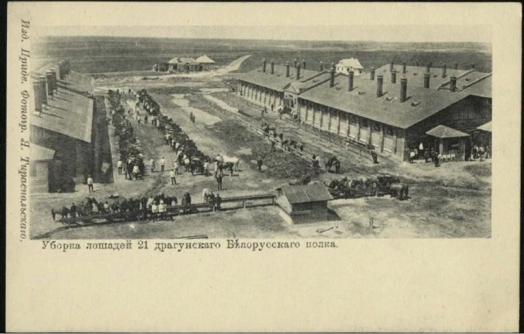 Уборка лошадей 21 драгунского Белорусского полка. Открытое письмо