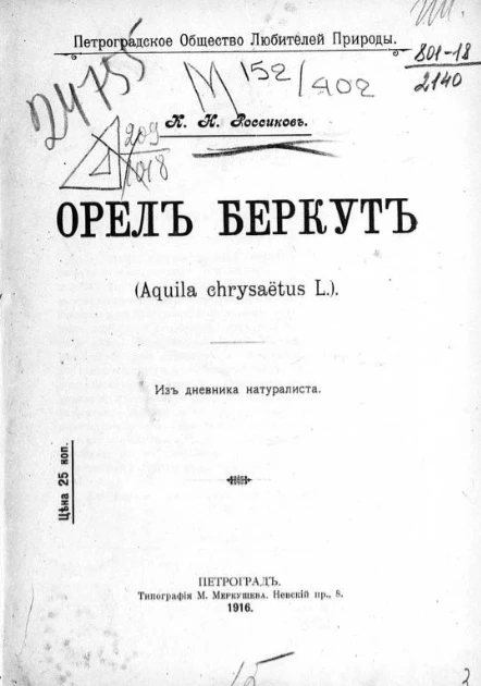 Петроградское общество любителей природы. Орел беркут (Aquila chrysaetus L.). Из дневника натуралиста