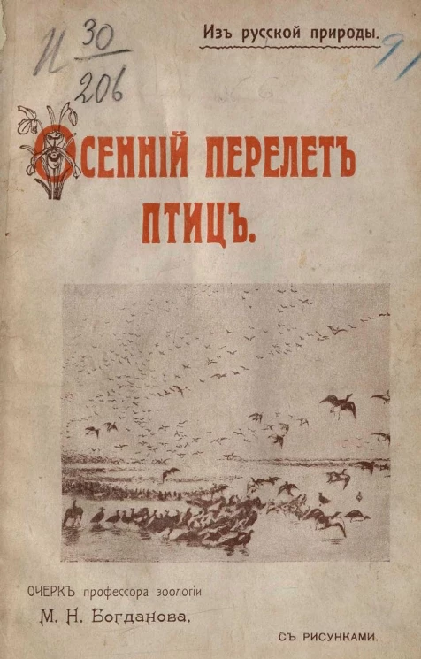 Из русской природы. Осенний перелет птиц. Очерк