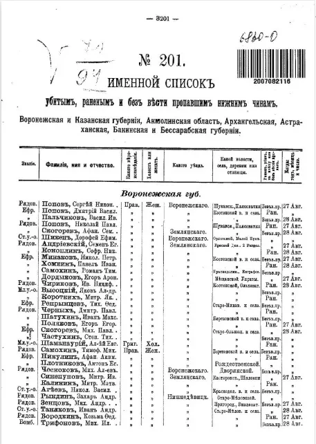 Именной список убитым, раненым и без вести пропавшим солдатам и нижним чинам №№ 201-220