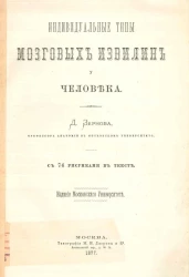 Индивидуальные типы мозговых извилин у человека 