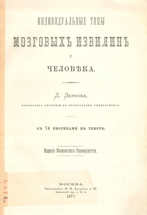 Индивидуальные типы мозговых извилин у человека 