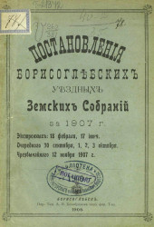 Постановления Борисоглебских уездных земских собраний за 1907 год экстренных 18 февраля, 17 июня, очередного 30 сентября, 1, 2, 3 октября, чрезвычайного 12 ноября 1907 года