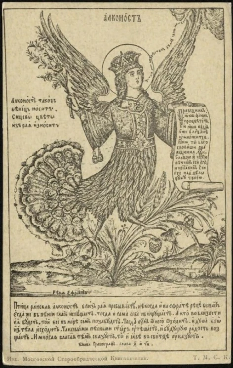 Алконост. Вариант 2. Открытое письмо