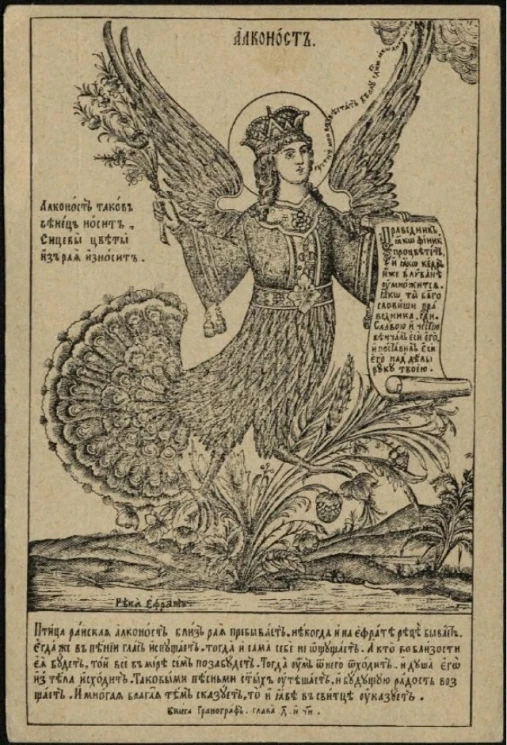 Алконост. Вариант 3. Открытое письмо