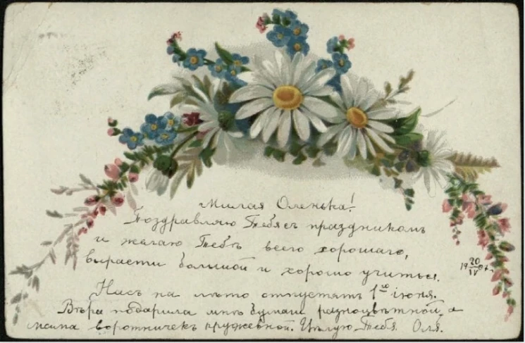 Ромашки. Открытое письмо