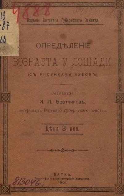 Определение возраста у лошади
