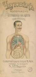 Человек. Изображение его строения на пяти таблицах с объяснительным текстом доктора Фета