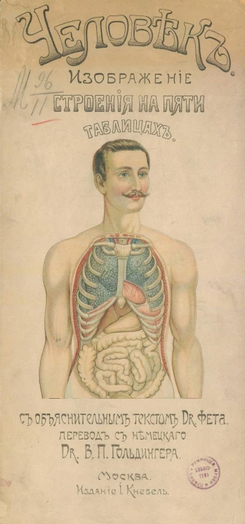 Человек. Изображение его строения на пяти таблицах с объяснительным текстом доктора Фета