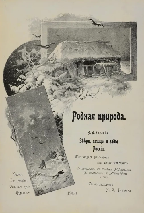 Родная природа. Птицы, звери и гады России