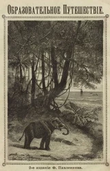 Образовательное путешествие. Издание 2