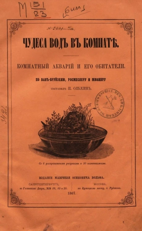Чудеса вод в комнате. Комнатный акварий и его обитатели