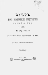 Зубр как вымирающий представитель нашей фауны