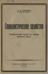 Социалистическое хозяйство. Теоретические мысли по поводу русского опыта