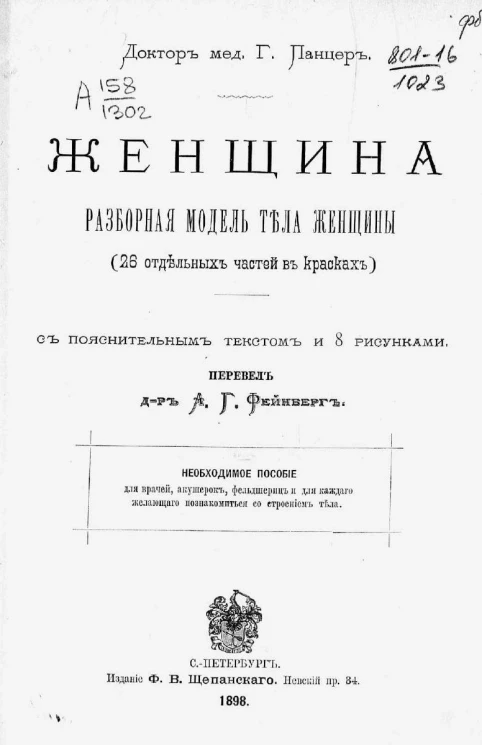Женщина. Разборная модель тела женщины