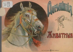 Домашние животные. Рассказы для детей