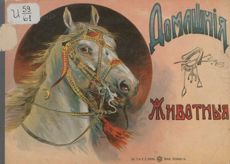 Домашние животные. Рассказы для детей