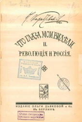 Что глаза мои видели. Часть 2. Революция и Россия